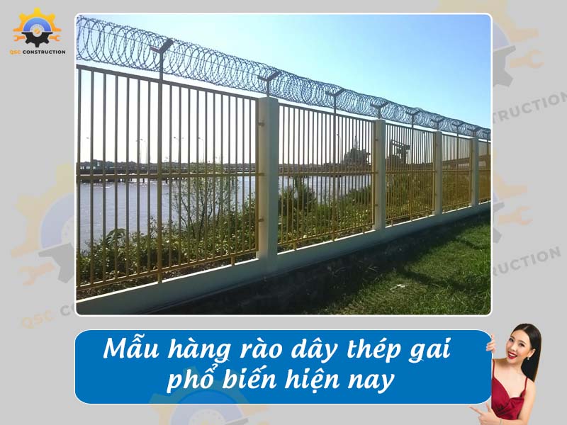 Báo giá mẫu hàng rào dây thép gai phổ biến nhất hiện nay