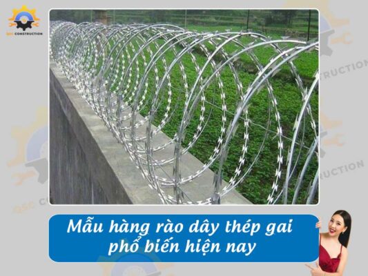 Báo giá mẫu hàng rào dây thép gai phổ biến nhất hiện nay
