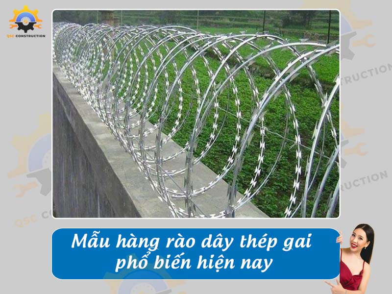 Báo giá mẫu hàng rào dây thép gai phổ biến nhất hiện nay