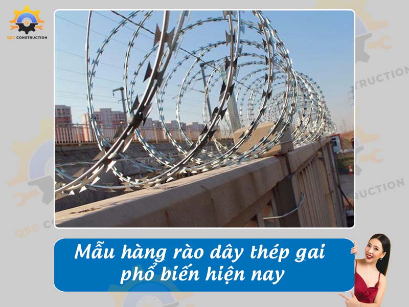 Báo giá mẫu hàng rào dây thép gai phổ biến nhất hiện nay