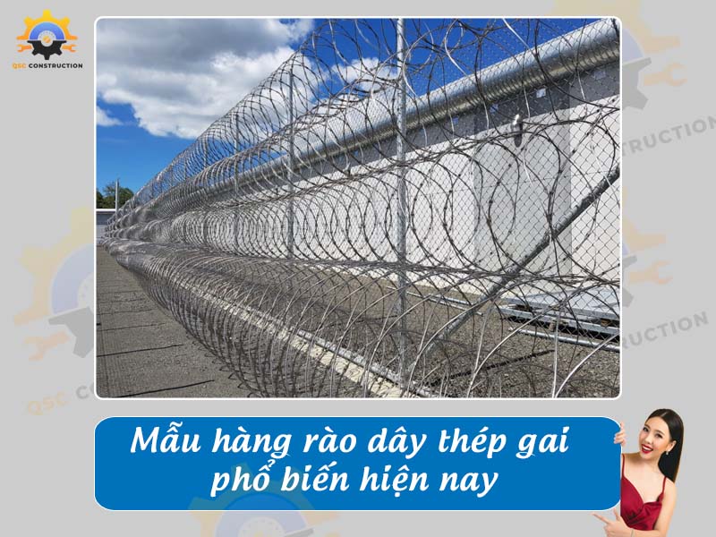 Báo giá mẫu hàng rào dây thép gai phổ biến nhất hiện nay