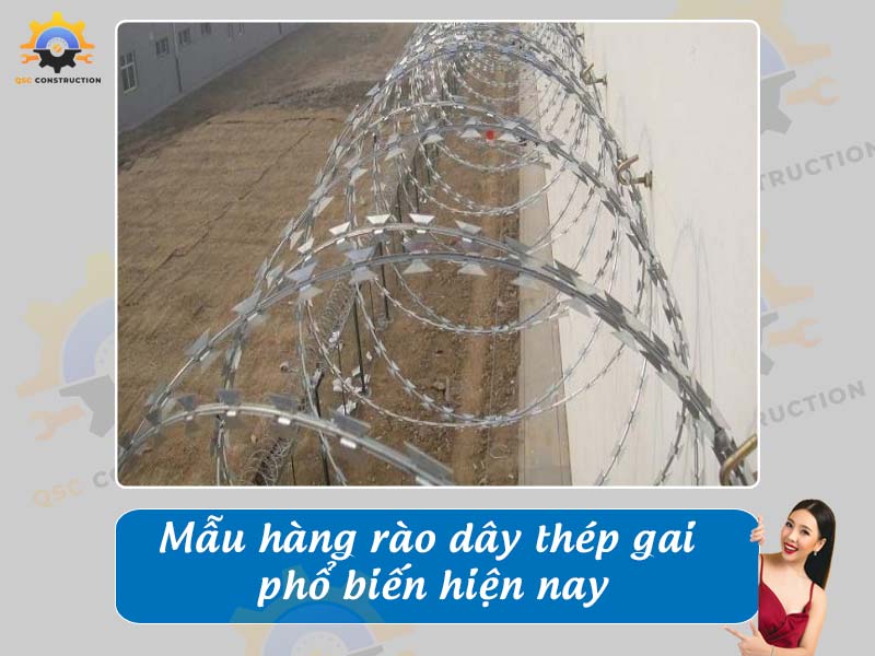Báo giá mẫu hàng rào dây thép gai phổ biến nhất hiện nay