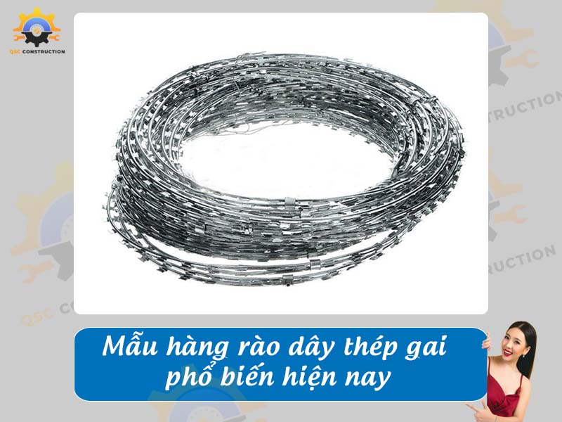 Báo giá mẫu hàng rào dây thép gai phổ biến nhất hiện nay